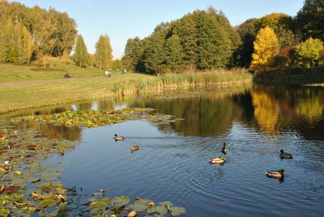 Leśny Park Kultury i Wypoczynku „Myślęcinek”