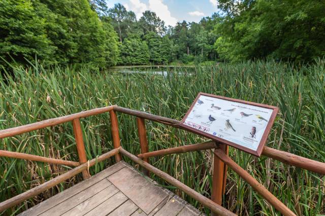 Osada Leśna Barbarka