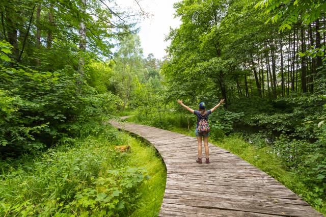 Park dendrologiczny „Nad Stążką”