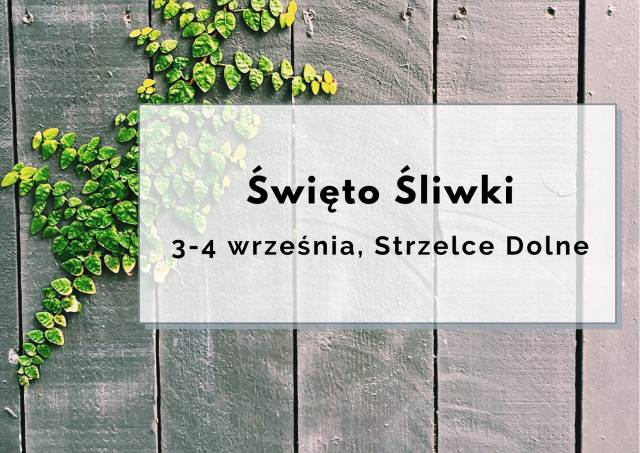 Święto Śliwki
