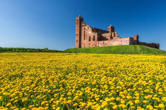 Ruins of the Teutonic castle in Radzyń Chełmiński