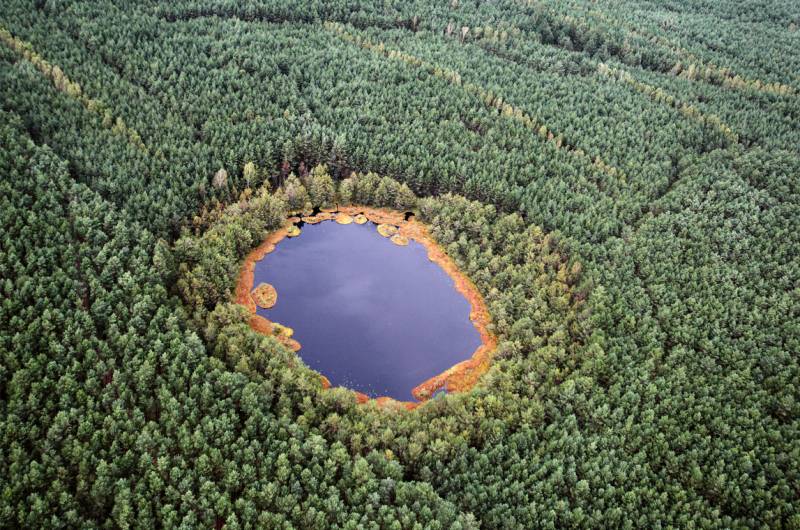 Rezerwat przyrody „Jeziorka Kozie”