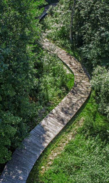 Dendrological park "Nad Stążką"
