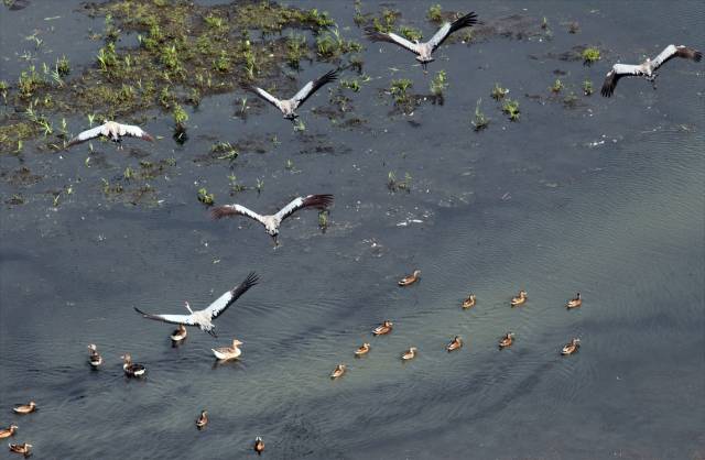 Lake Rakutowskie nature reserve