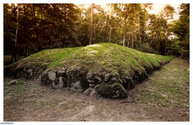 Park Kulturowy Wietrzychowice