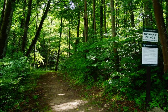 Ścieżka przyrodniczo-edukacyjna „Szumny Zdrój”