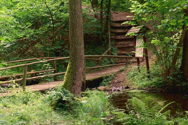 Przyrodniczo-leśna ścieżka "Dolina rzeki Gąsawki"