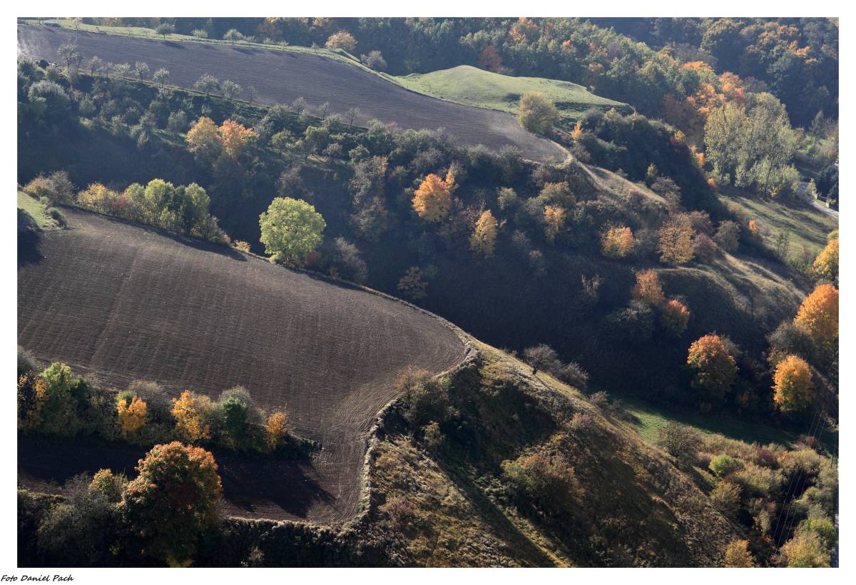 Z widokiem na Zbocza Płutowskie