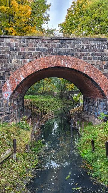 Dookoła jeziora Gąsawka 