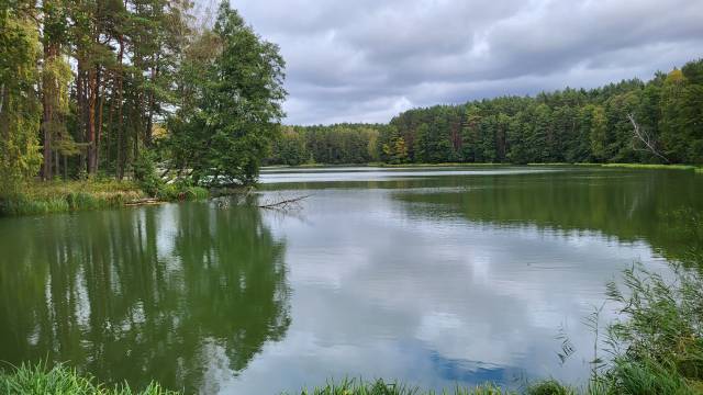 "Following the Brda River"