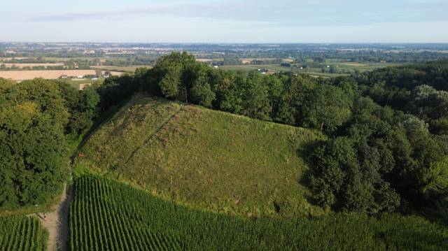 Pałacowa (Ostromecko – Kamieniec – Ostromecko)