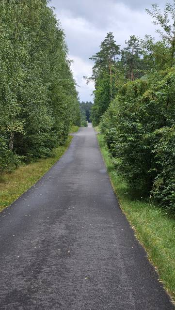 Święta (Dobrzyń nad Wisłą – Tłuchowo – Skępe – Wielgie – Dobrzyń nad Wisłą)