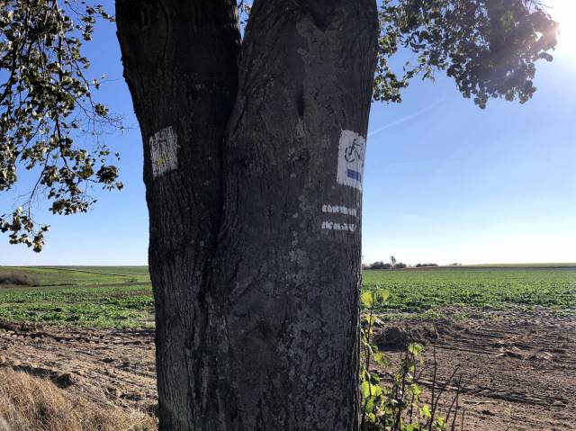 Pałucki Szlak Rowerowy