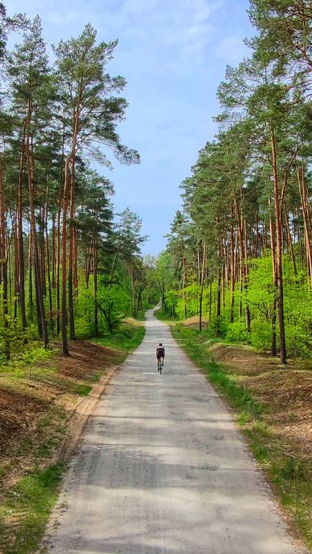 Szutry Gostynińsko-Włocławskiego Parku Krajobrazowego