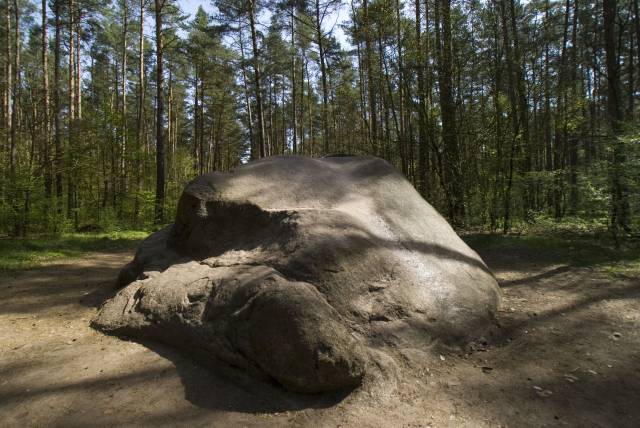 Diabelski kamień / Kamień św. Wojciecha