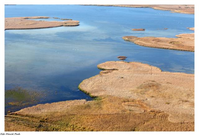 Rezerwat „Jezioro Rakutowskie”