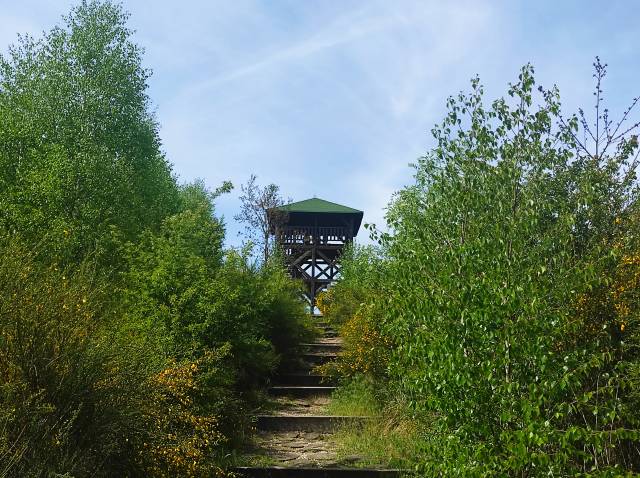 Wieża widokowa w Trzebcinach
